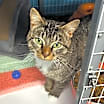 Thumbnail photo of Tucker #1
