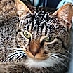 Thumbnail photo of Tucker #2