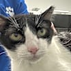 Thumbnail photo of Meadow #2