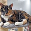 Thumbnail photo of Birdie #1