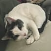Thumbnail photo of Arlo #3