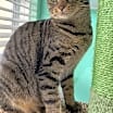 Thumbnail photo of Edith #1
