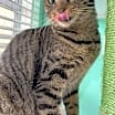 Thumbnail photo of Edith #3