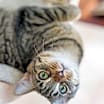Thumbnail photo of Edith #4