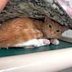 Thumbnail photo of Maeve #4