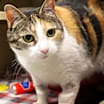 Thumbnail photo of Kiki #1