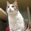 Thumbnail photo of Kiki #2