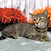 Thumbnail photo of Skylar #2