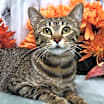 Thumbnail photo of Skylar #3