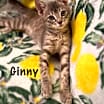Thumbnail photo of Ginny #1