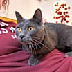 Thumbnail photo of Mila #4
