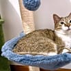 Thumbnail photo of Lovey #4