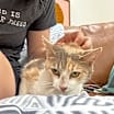 Thumbnail photo of Holly Hobby #3