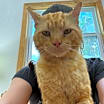 Thumbnail photo of Nacho Hall #3