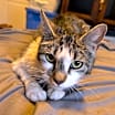 Thumbnail photo of Emily #2