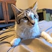 Thumbnail photo of Emily #3