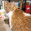 Thumbnail photo of GRETA #2