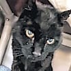 Thumbnail photo of Marco #2