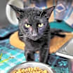 Thumbnail photo of Neighbor Tommy #4