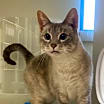 Thumbnail photo of Noel #3