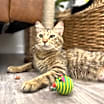 Thumbnail photo of Misty Houser #1