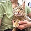 Thumbnail photo of Misty Houser #2