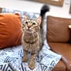 Thumbnail photo of Misty Houser #3