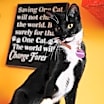 Thumbnail photo of Paco #2