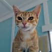 Thumbnail photo of Mew Barrymore #4