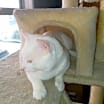 Thumbnail photo of Sid #2