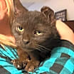 Thumbnail photo of Leara #1