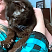 Thumbnail photo of Leara #3