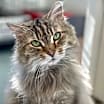 Thumbnail photo of Speck #4