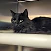 Thumbnail photo of Titus #2