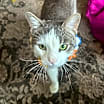 Thumbnail photo of Walter #1