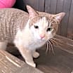 Thumbnail photo of Walter #3