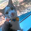Thumbnail photo of Walter #4