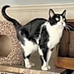 Thumbnail photo of Ella #2