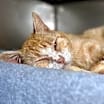 Thumbnail photo of Yirel #2