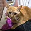 Thumbnail photo of Fergus #2