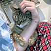 Thumbnail photo of Topaz #1