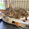 Thumbnail photo of Avery #1