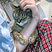 Thumbnail photo of Topaz #3