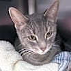 Thumbnail photo of Penelope #2