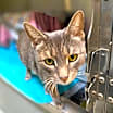 Thumbnail photo of Penelope #3