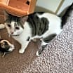 Thumbnail photo of Norbert #2