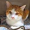 Thumbnail photo of Little Fella #1