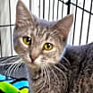 Thumbnail photo of Eshe #1