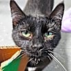 Thumbnail photo of Atalia #1