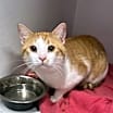 Thumbnail photo of Little Fella #2